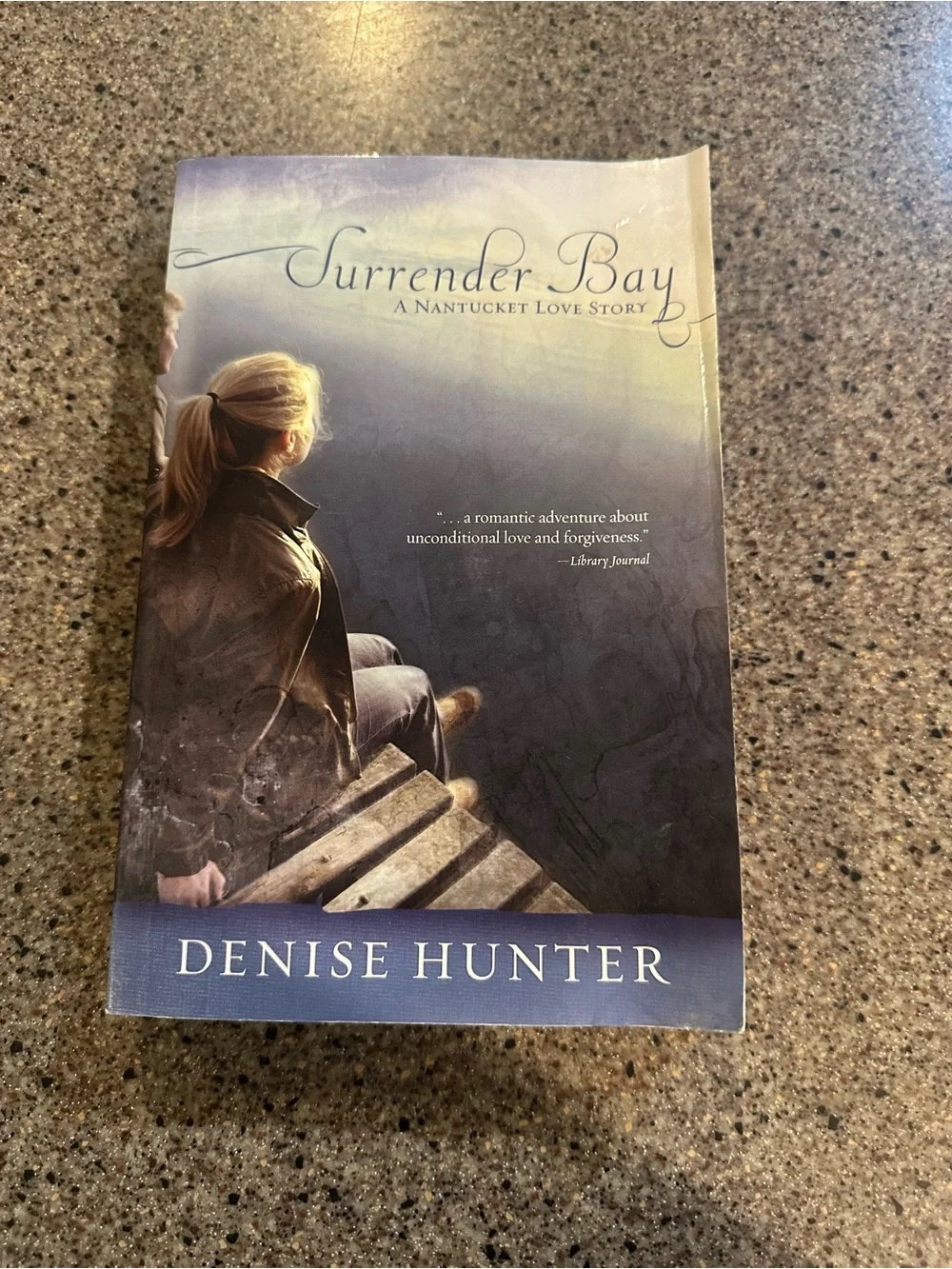 Denise Hunter Surrender Bay